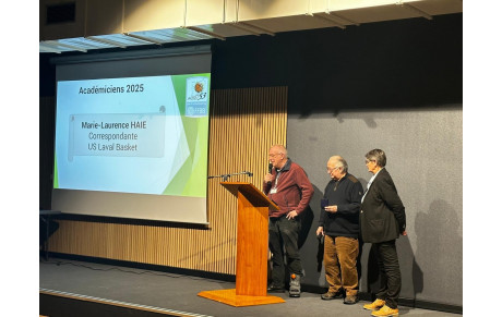 Soirée des vœux du Conseil Départemental de Basket 2025 : l’engagement de l’USL Basket mis à l’honneur
